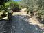Immagine 27