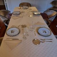 Domestico autista con esperienze
