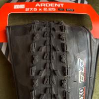 MTB Pneumatico Maxxis Ardent