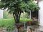 Immagine 25