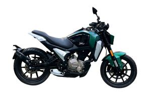 F.B. Mondial Flex 300