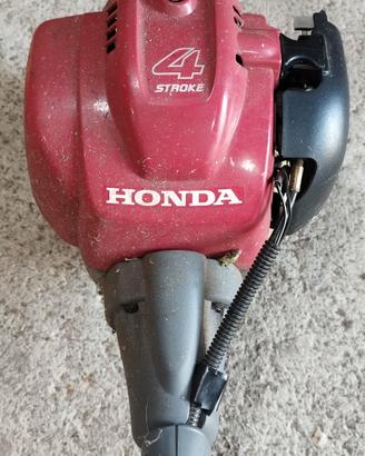 Decespugliatore Honda 4 tempi 