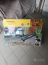 Soffione foglie