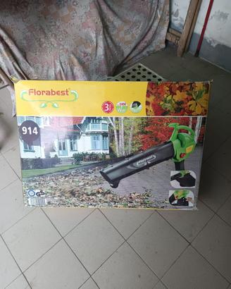 Soffione foglie
