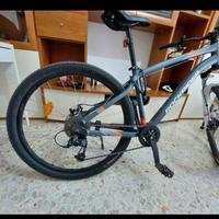 mountain bike taglia L