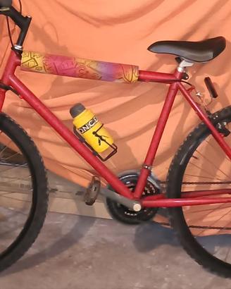 Mountain Bike Vintage Anni '90 Rossa