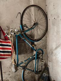 bicicletta bianchi