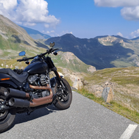 Harley Davidson Fat Bob 114