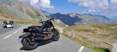 Harley Davidson Fat Bob 114