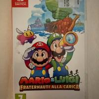 Mario e Luigi Fraternauti alla carica switch