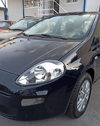 Fiat Punto 1.2 8V 5 porte Lounge