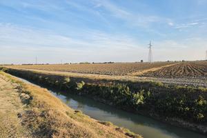 Terreno Agricolo 8.5 Ha tra Copparo Formignana