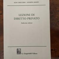 Lezioni di diritto privato