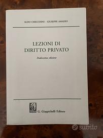 Lezioni di diritto privato