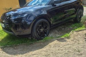 Evoque land rover