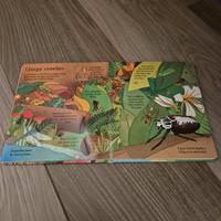 6 libri in inglese della Usborne