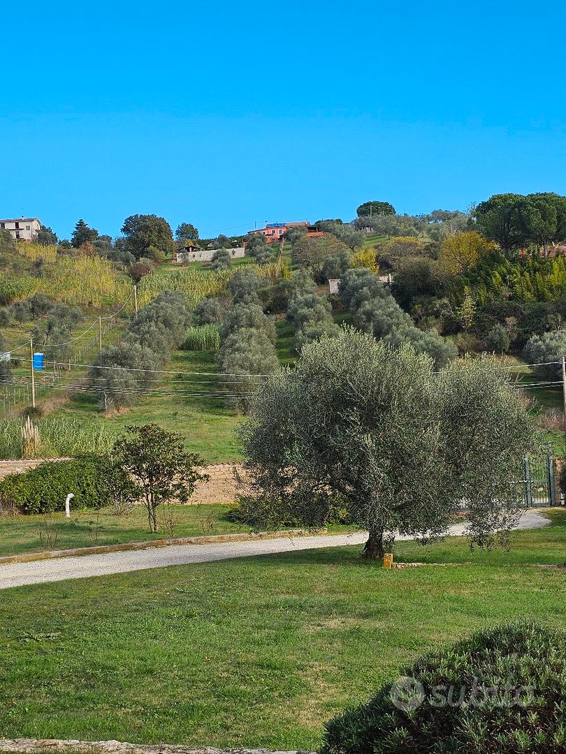 Terreno Agricolo - Vista 2