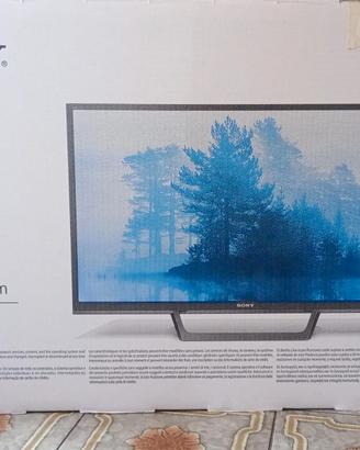 TV Sony KDL-32WE61 - NON FUNZIONANTE
