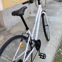 Bici usata