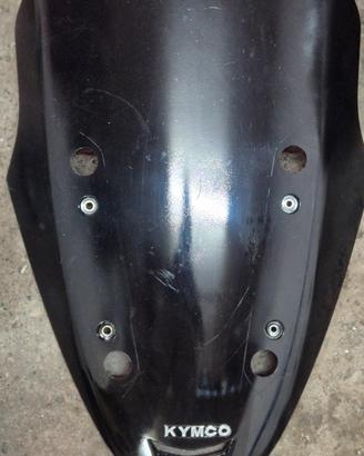 cupolino kymco xciting 