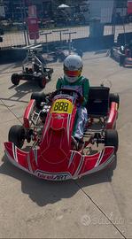 Kart birel s16 kz motore tm r2