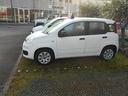 fiat-panda-1-2