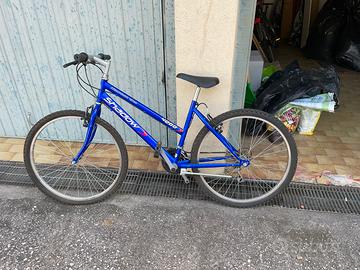 Bicicletta ragazzo