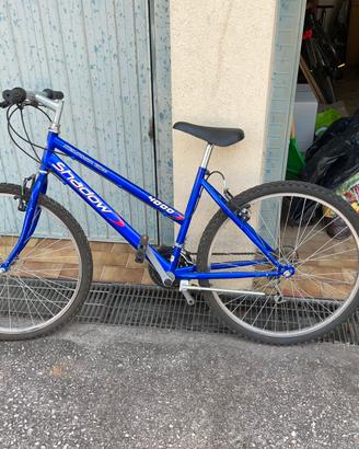 Bicicletta ragazzo