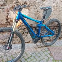 E-bike cube stereo custom