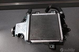 RADIATORE PCX