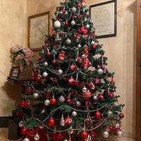 Albero di Natale