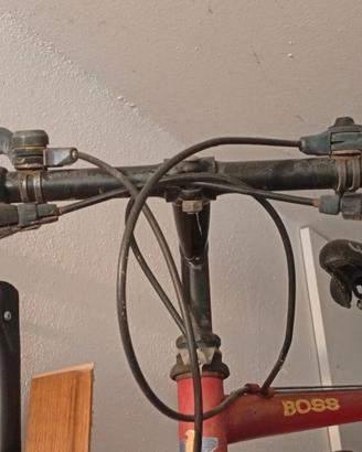 Bici mtb 26 "