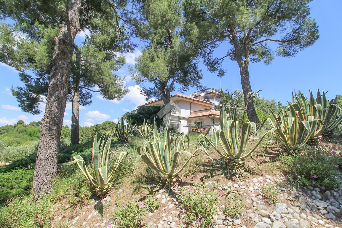 VILLA SINGOLA A RIPATRANSONE - Vista 5