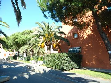 Bilocale con ampio terrazzo a due passi dal mare