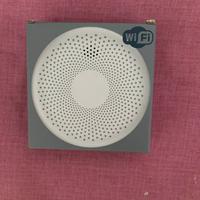 Rilevatore Di Fumo E Monossido Di Carbonio WiFi