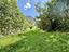 Immagine 14