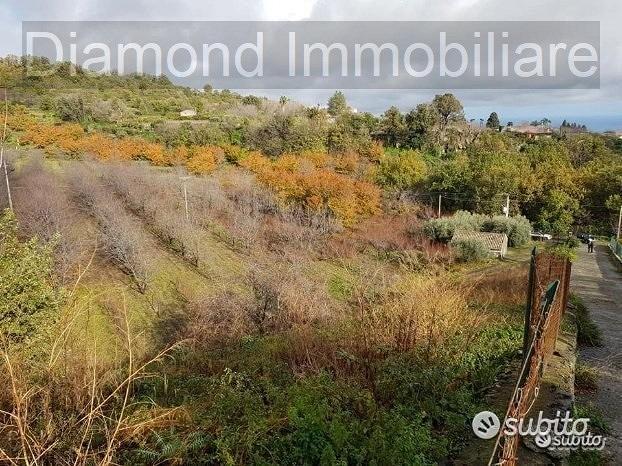 Terreno 5 ettari con fabbricato Piedimonte Etneo - Vista 2