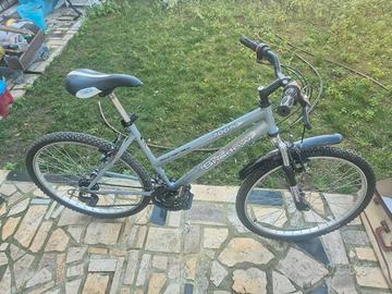 Bici Mountain Bike Grigia da Donna Taglia 26