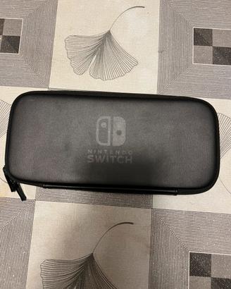 Custodia per switch1