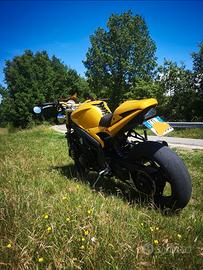 speed triple 1050 model year 2005
