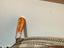 Immagine 5