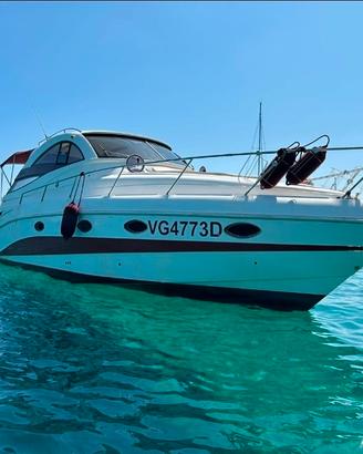 stama 37 ht 2x310 d6