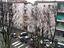 Immagine 19