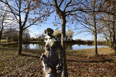 Rif.SWD1| terreno agricolo quarto d'altino