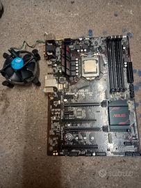 scheda madre asus processore e ram