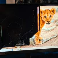 Monitor Samsung Odyssey G3 24 Pollici