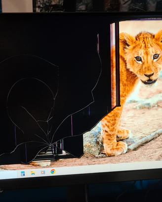 Monitor Samsung Odyssey G3 24 Pollici