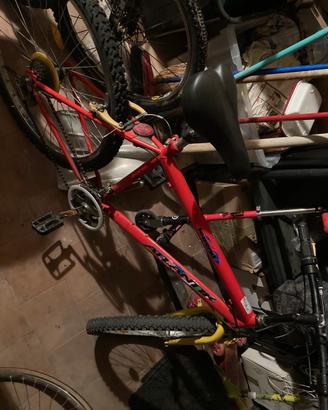 Mountain bike