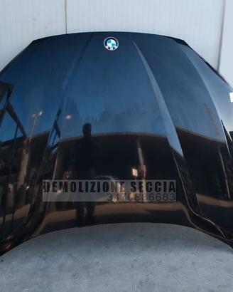 disp. 01 cofano anteriore BMW X1 E84 nero