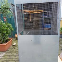 Grande gabbia per pappagalli